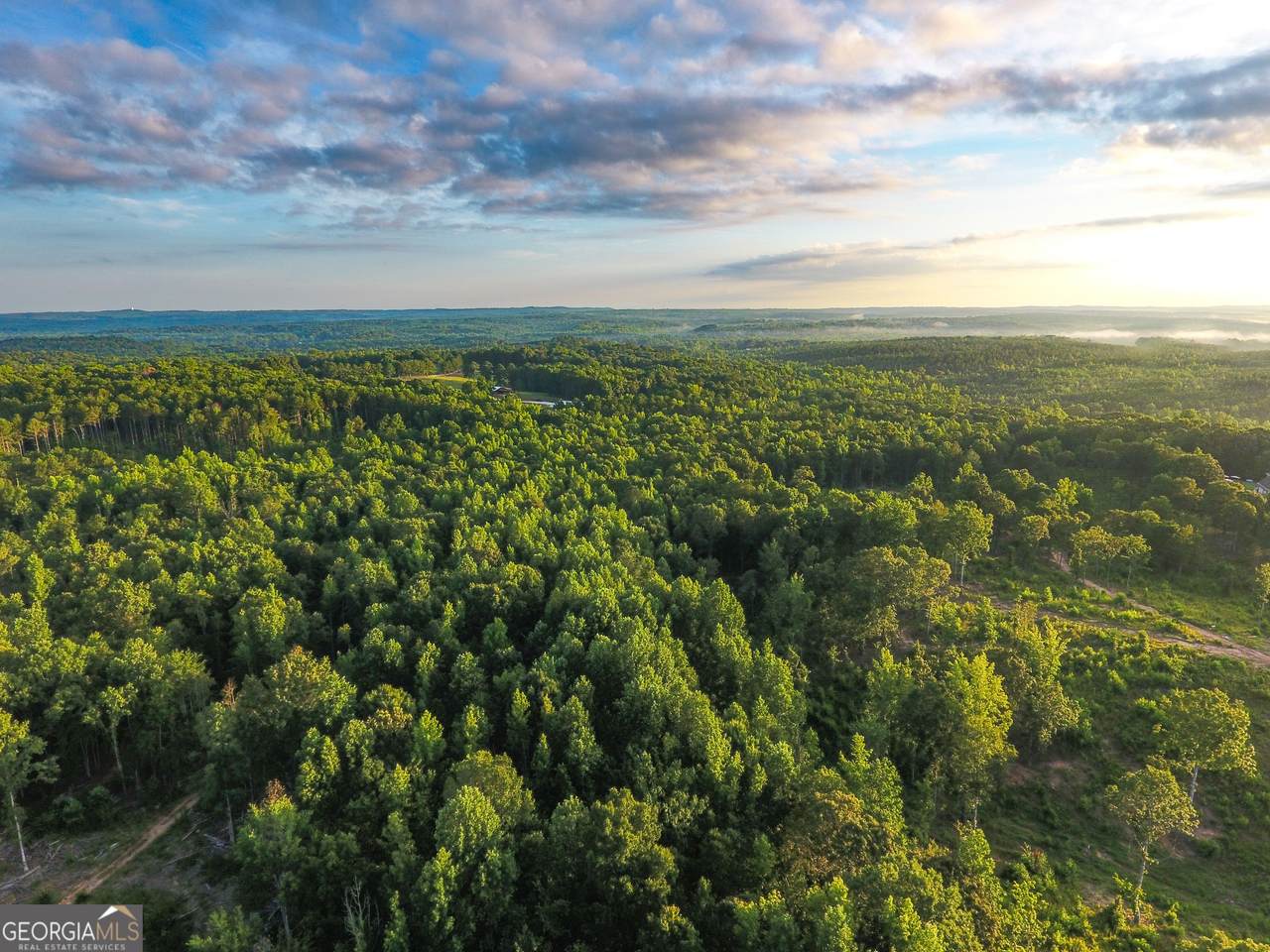 0 Roy Dean Road - Photo 1