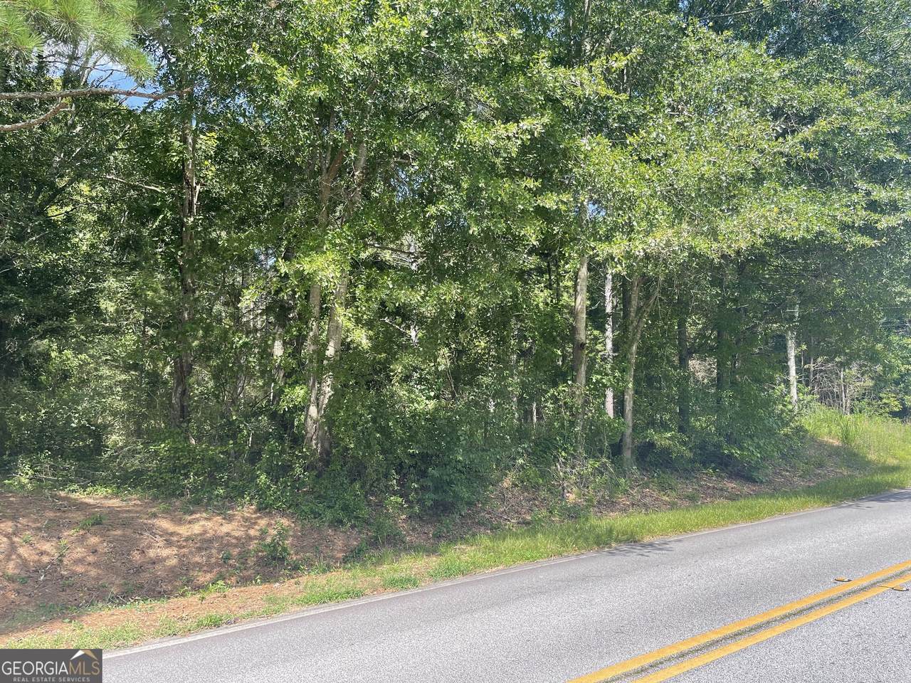 0 Asa Mosley Road - Photo 1