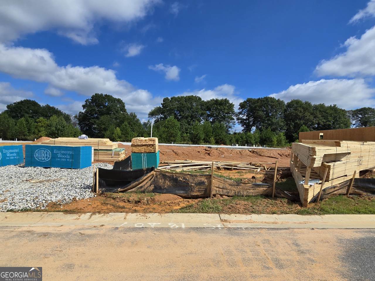 287 Dove Field Drive - Photo 1
