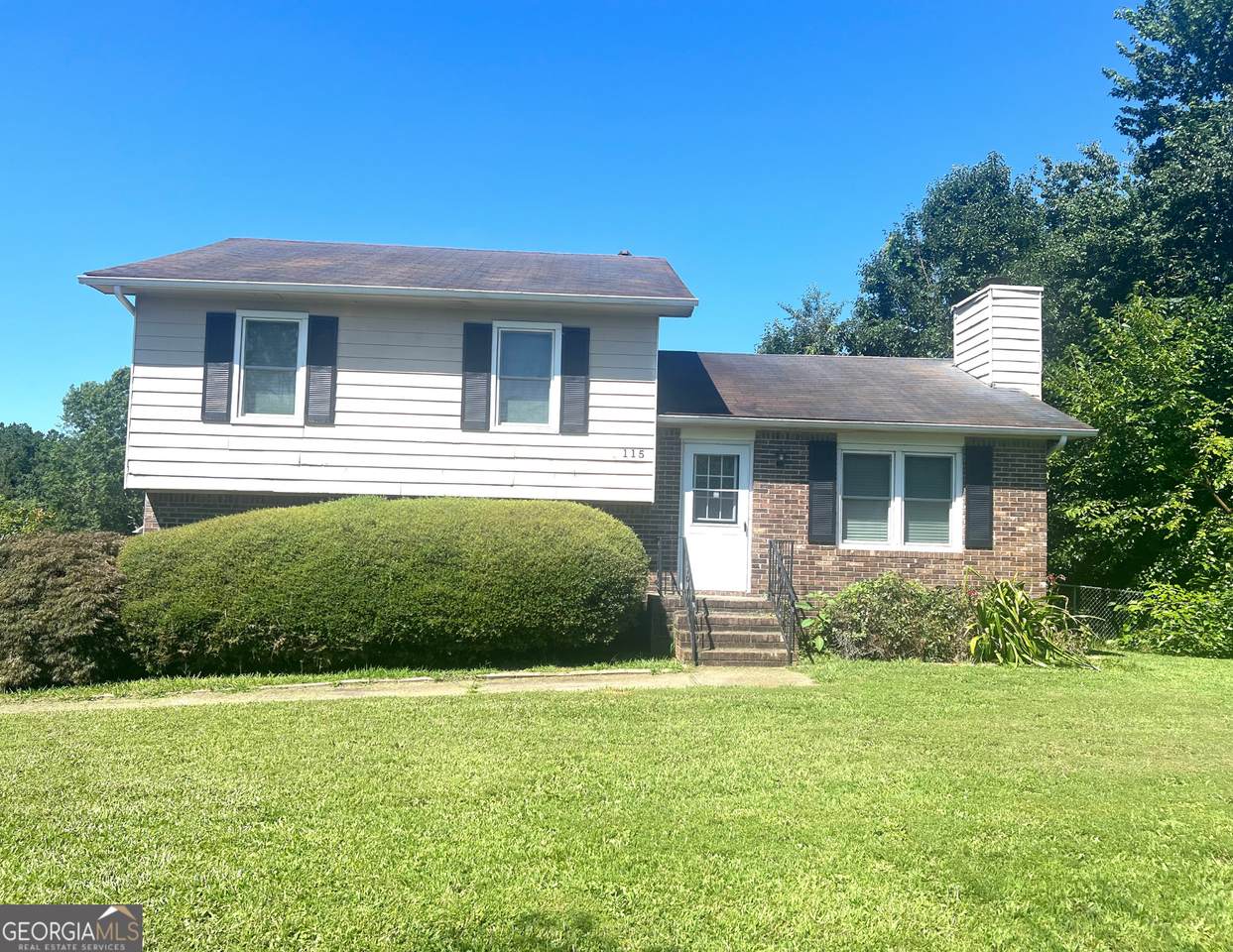 115 Belmont Farms Drive - Photo 1