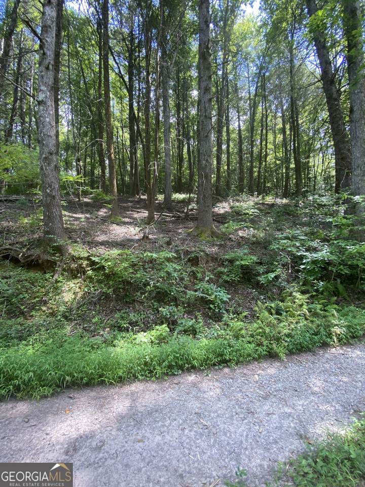 HEMLOCK Hemlock Trail - Photo 1