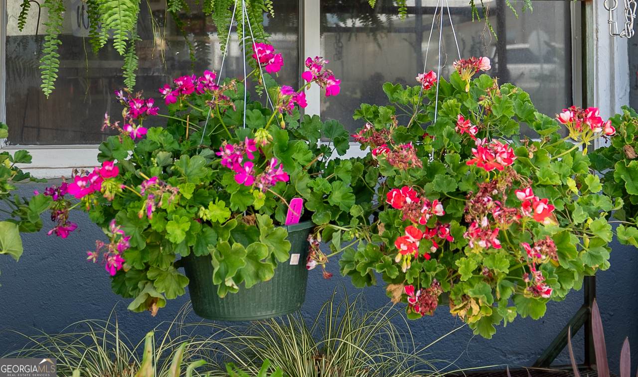 186 Mclaughlin Street - Photo 1