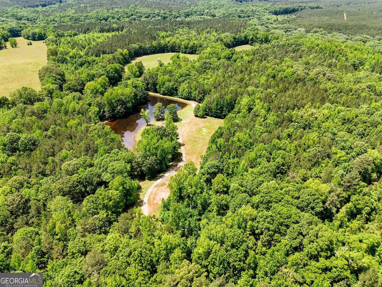 102 +/- ACRES - Old Zebulon Road - Photo 1