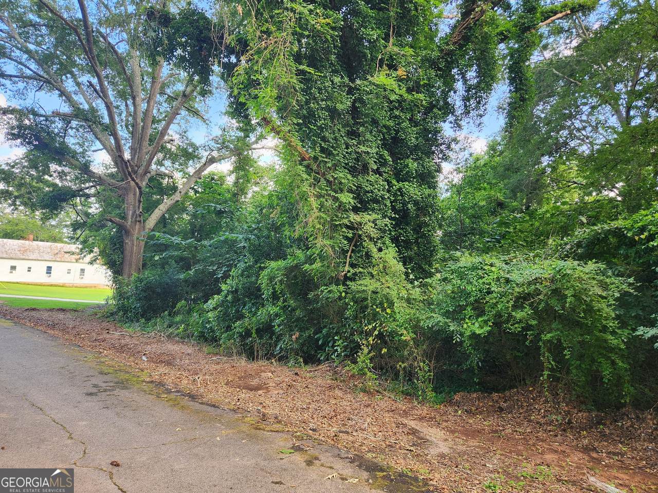 0 Edwards Lane - Photo 1