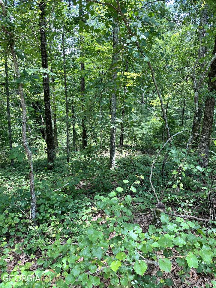 LT1719 Rebekah Ridge Road - Photo 1