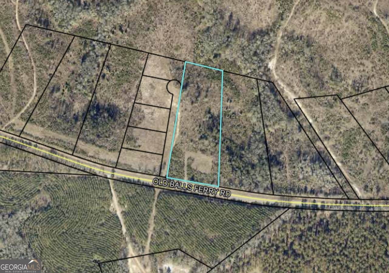 0 Old Balls Ferry Road - Photo 1