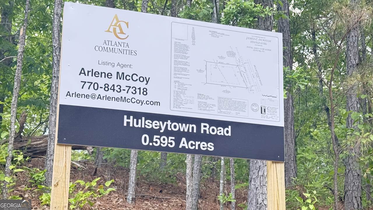 0 Hulseytown Road - Photo 1