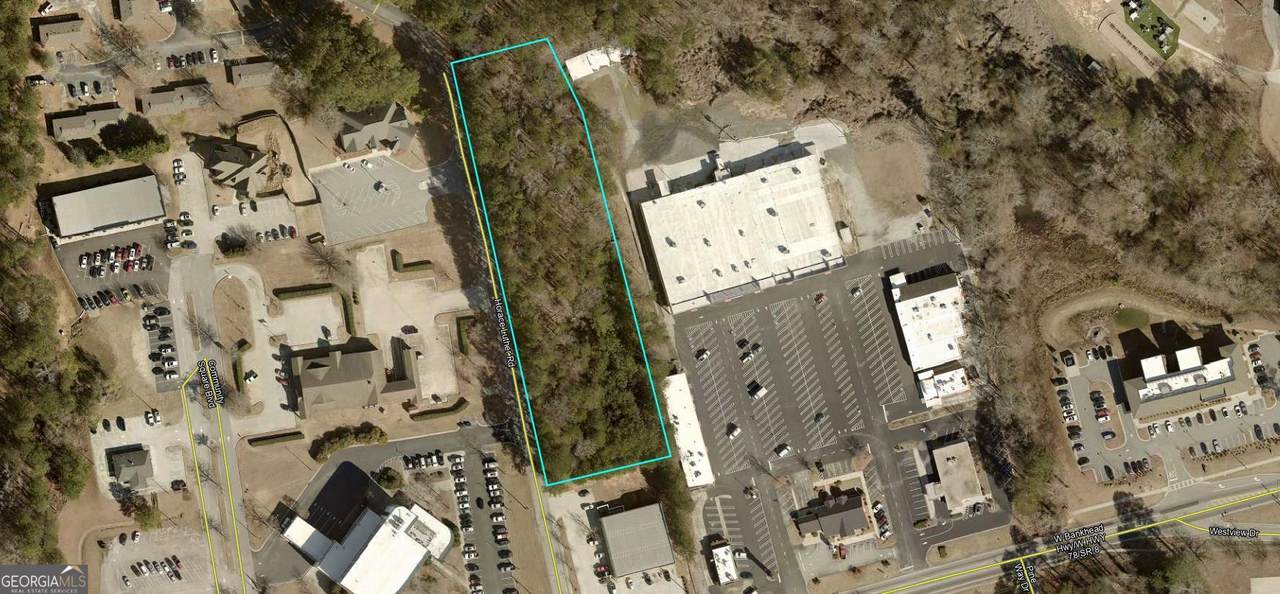 0 Horace Luther Drive - Photo 1