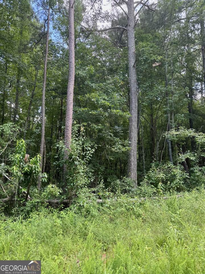 0 Cherokee Lane - Photo 1