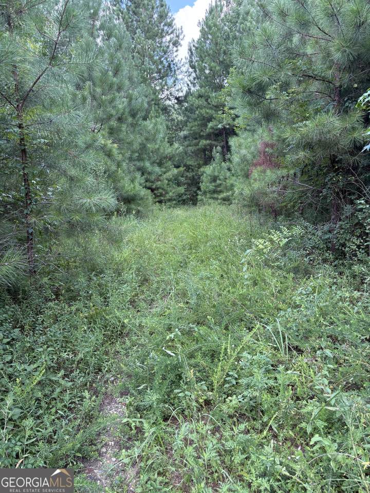 0 Houston Road - Photo 1