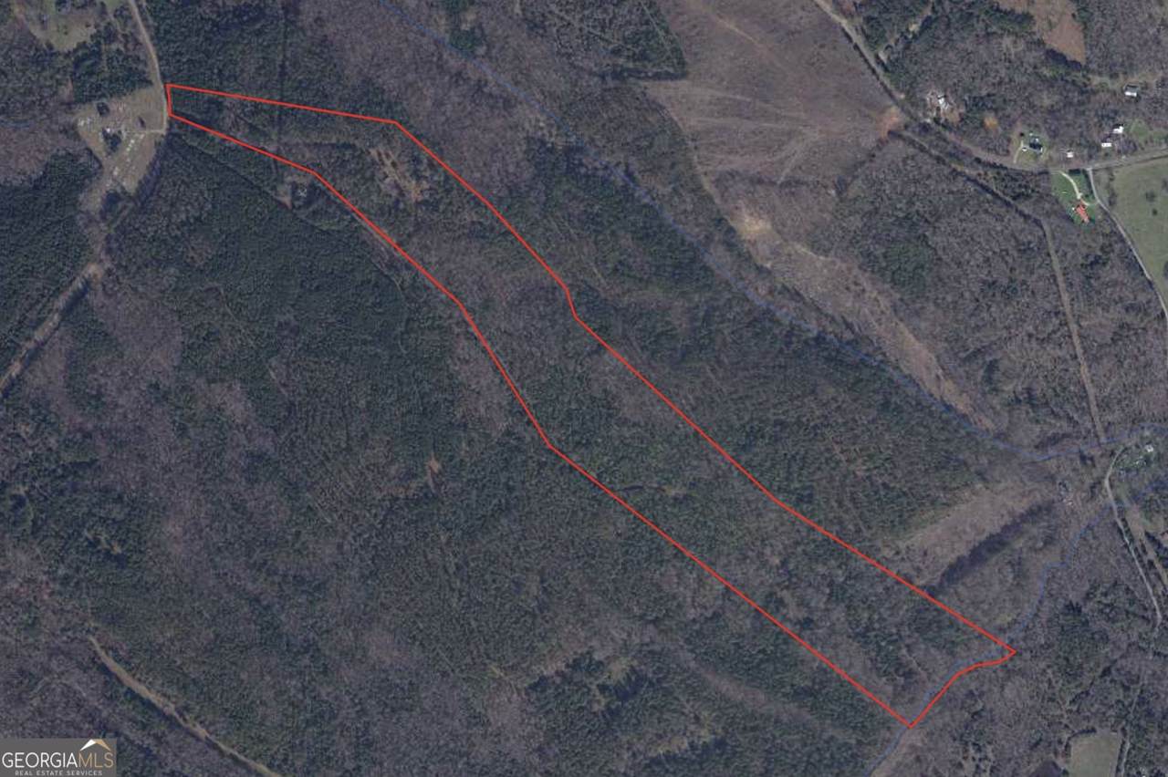 1324 Highway 81 - Photo 1