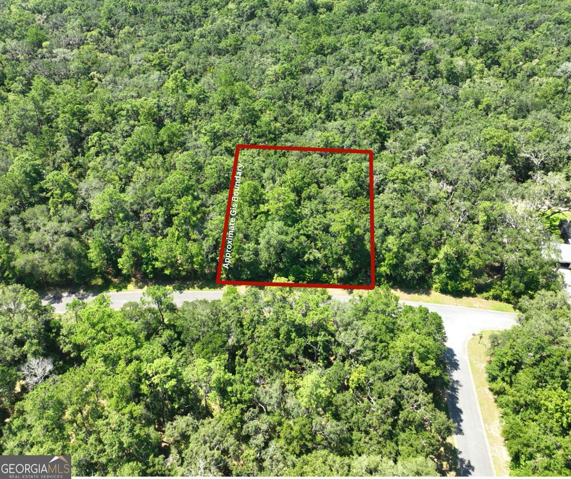 LOT 50 Tar Flower Trail - Photo 1