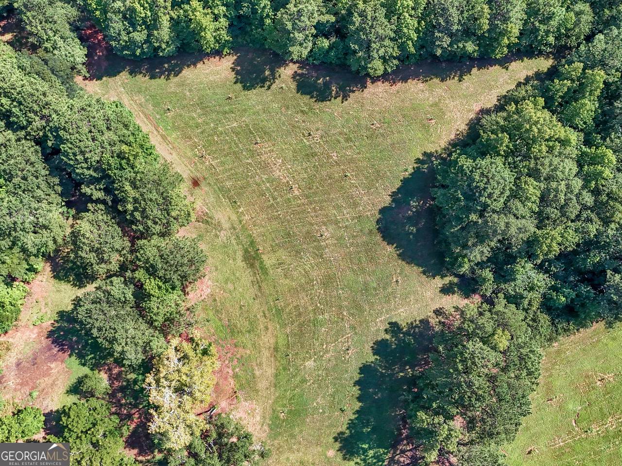 7333 White House Parkway - Photo 1