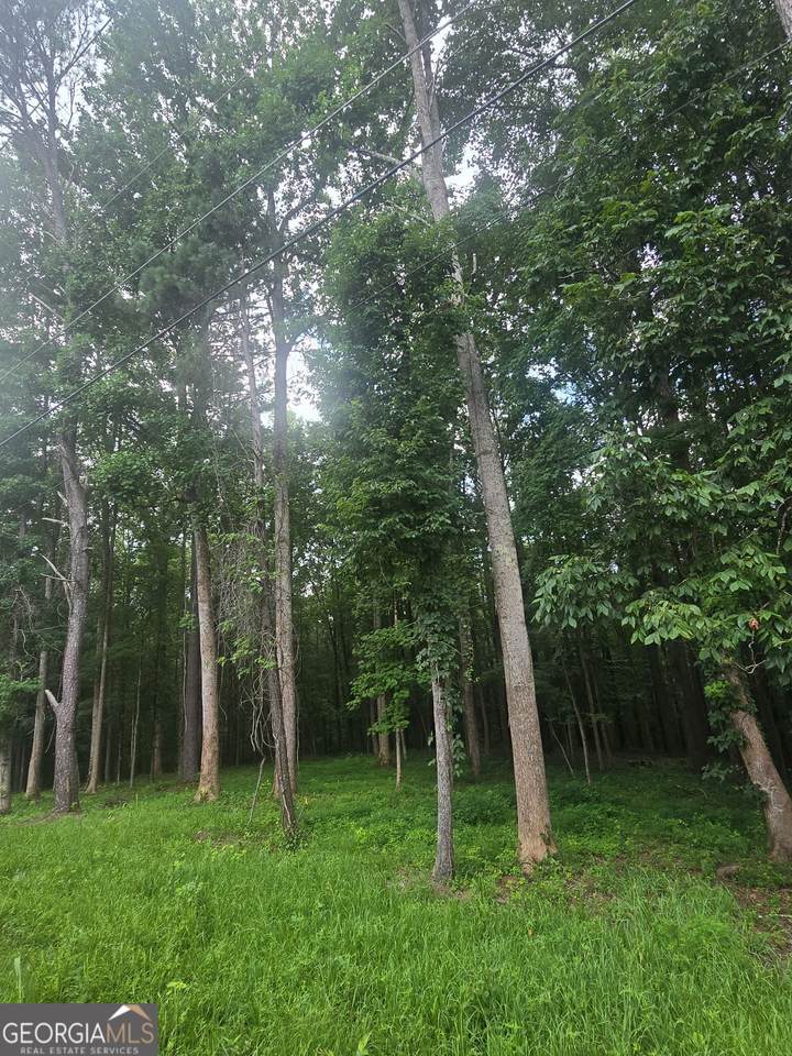 6147 Little Ridge Road - Photo 1