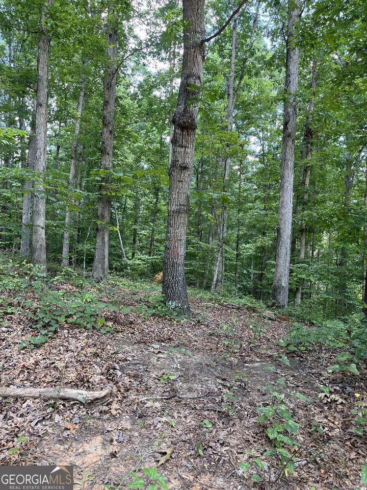 2710 Glendale Drive - Photo 1