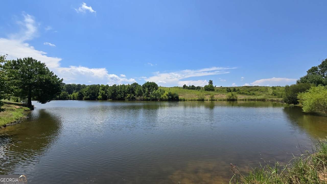 361 Allen Road - Photo 1