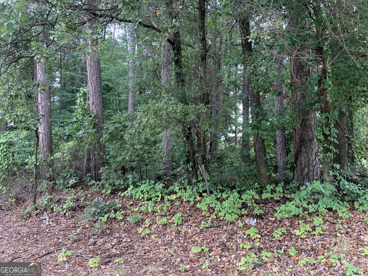 0 Hwy 17 Alt - Photo 1