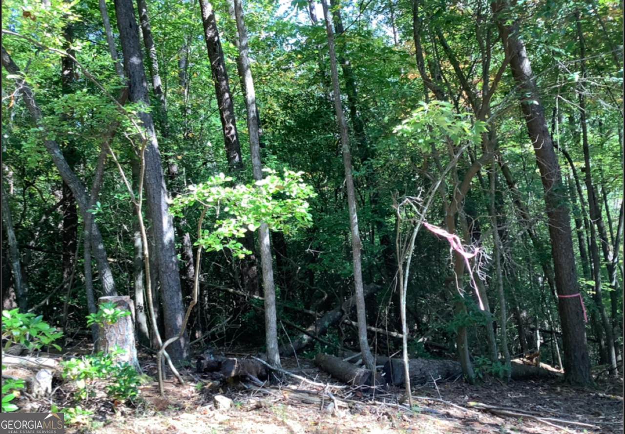 0.68 Valley View Road - Photo 1