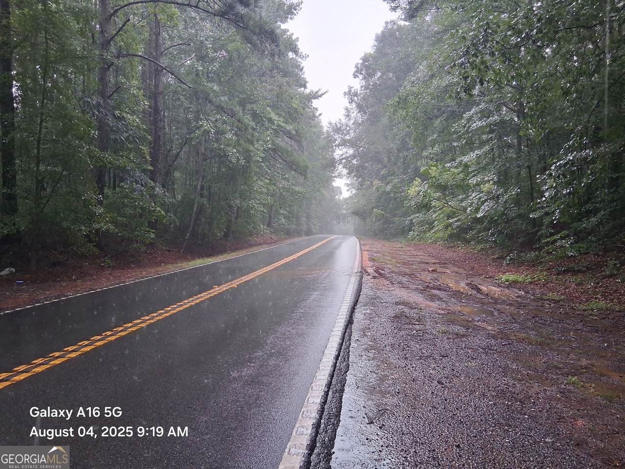 2800 Highway 54 - Photo 1