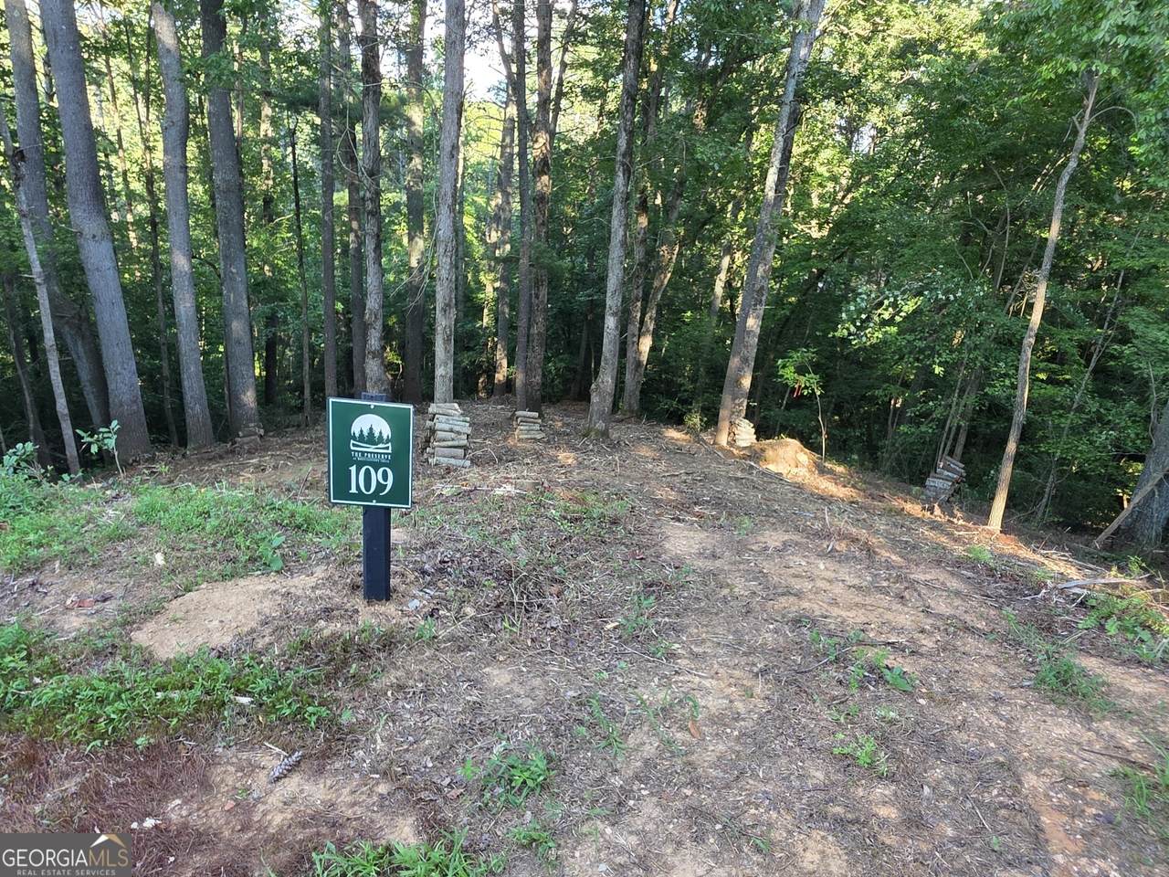 109R Red Oak Trail - Photo 1