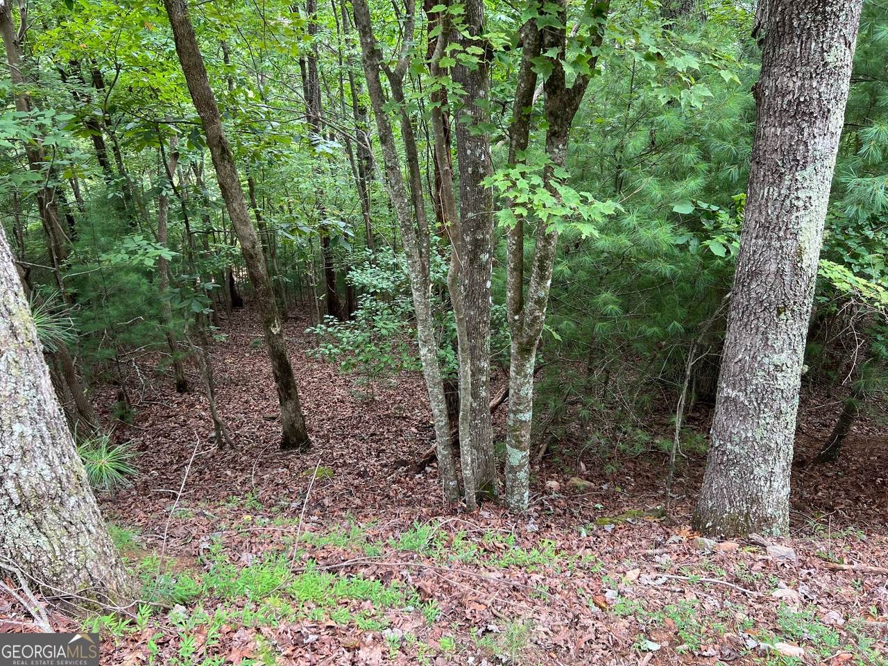 167 Tara Drive - Photo 1