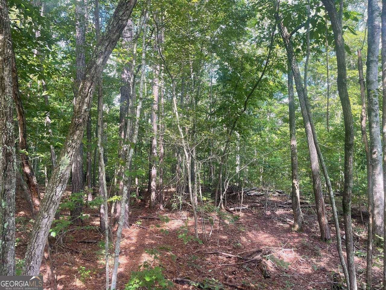 0 Young Road - Photo 1