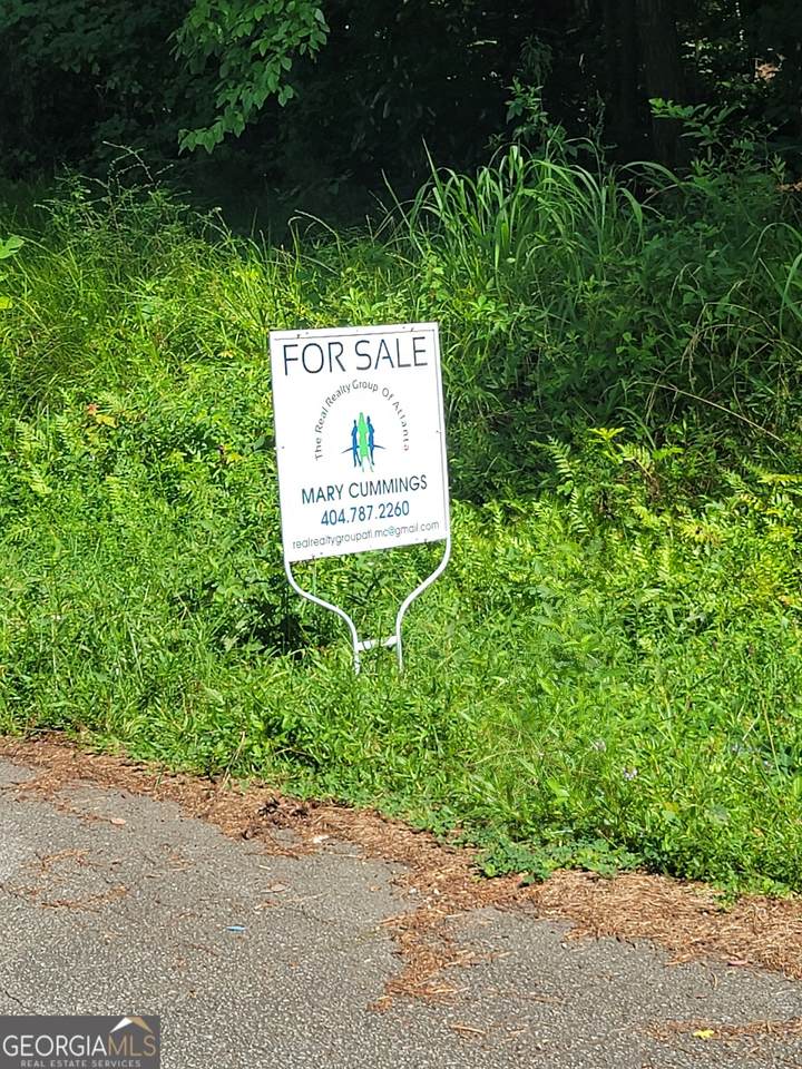 0 Poplar Avenue - Photo 1