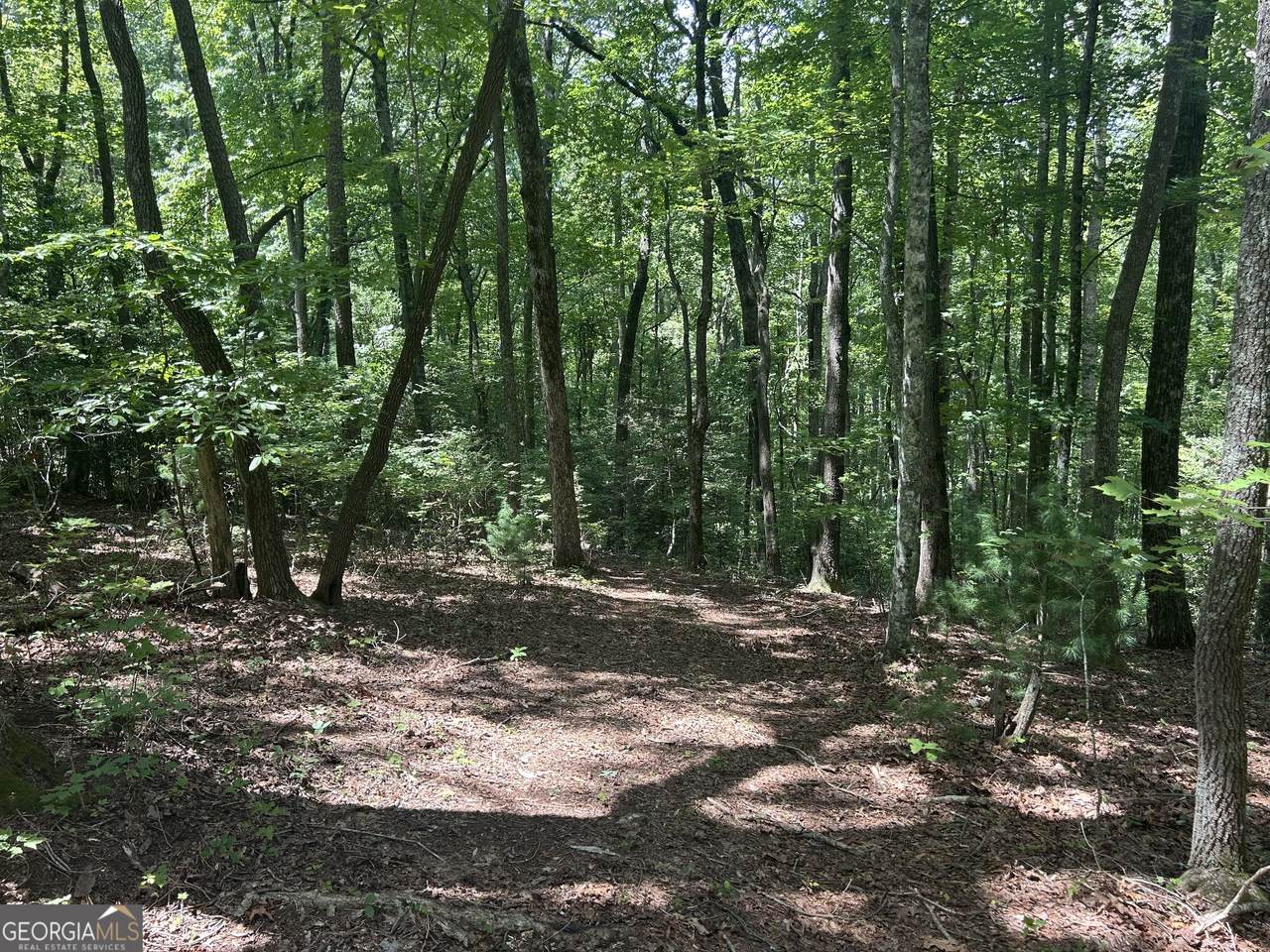 22.5 AC Hwy 2 - Photo 1