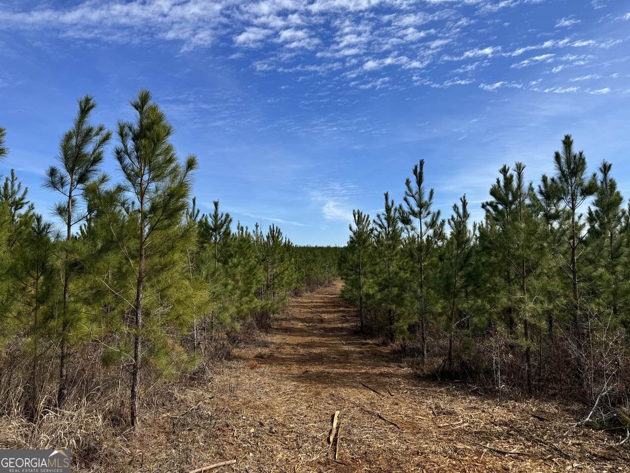 018 Dozier Road - Photo 1