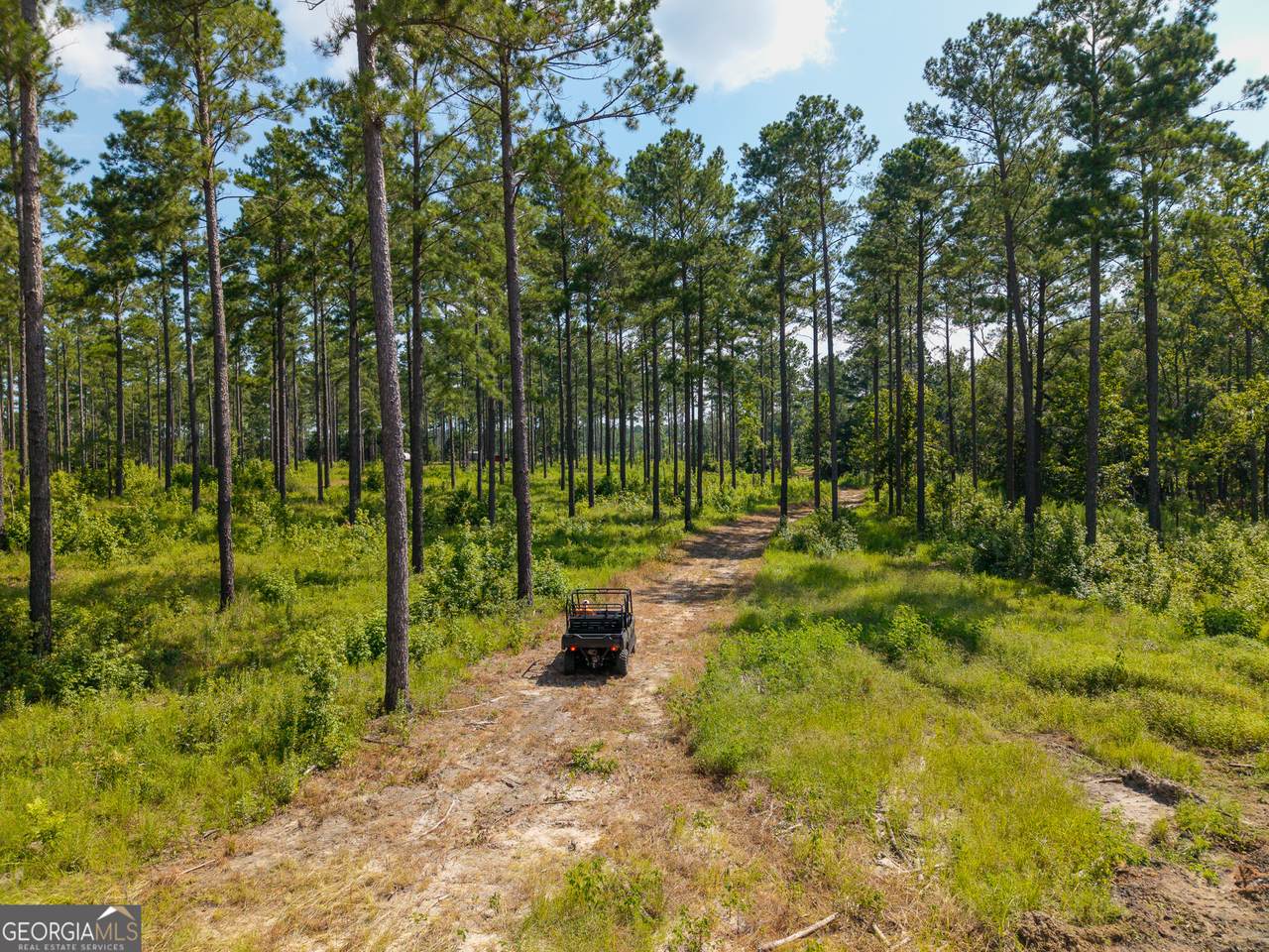 0 Henry Moxley Road - Photo 1