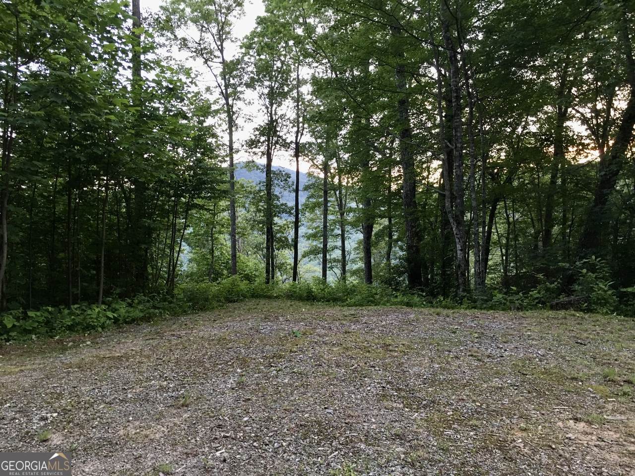 0 Nichols Ln At Tate City - Photo 1