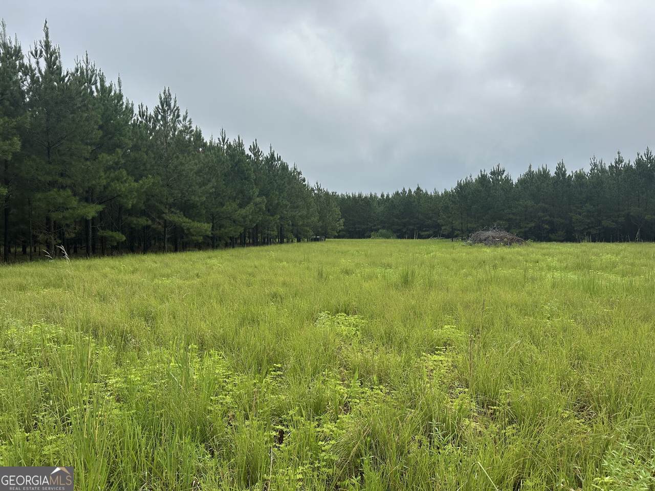 3302 Highway 67 - Photo 1