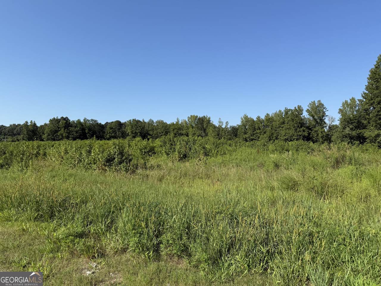 0 Ga Highway 113 - Photo 1