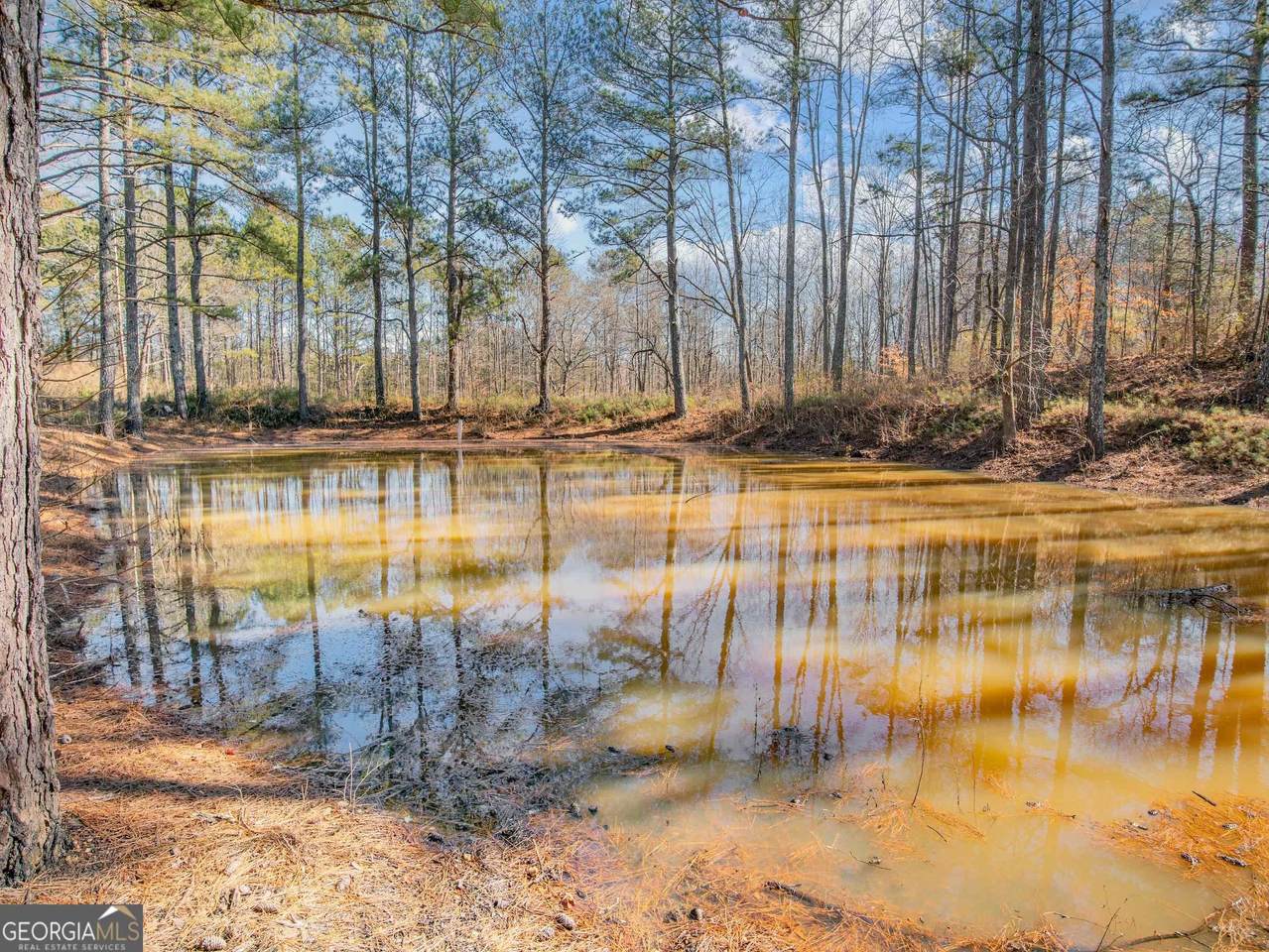 3247 Ga-120 Highway - Photo 1