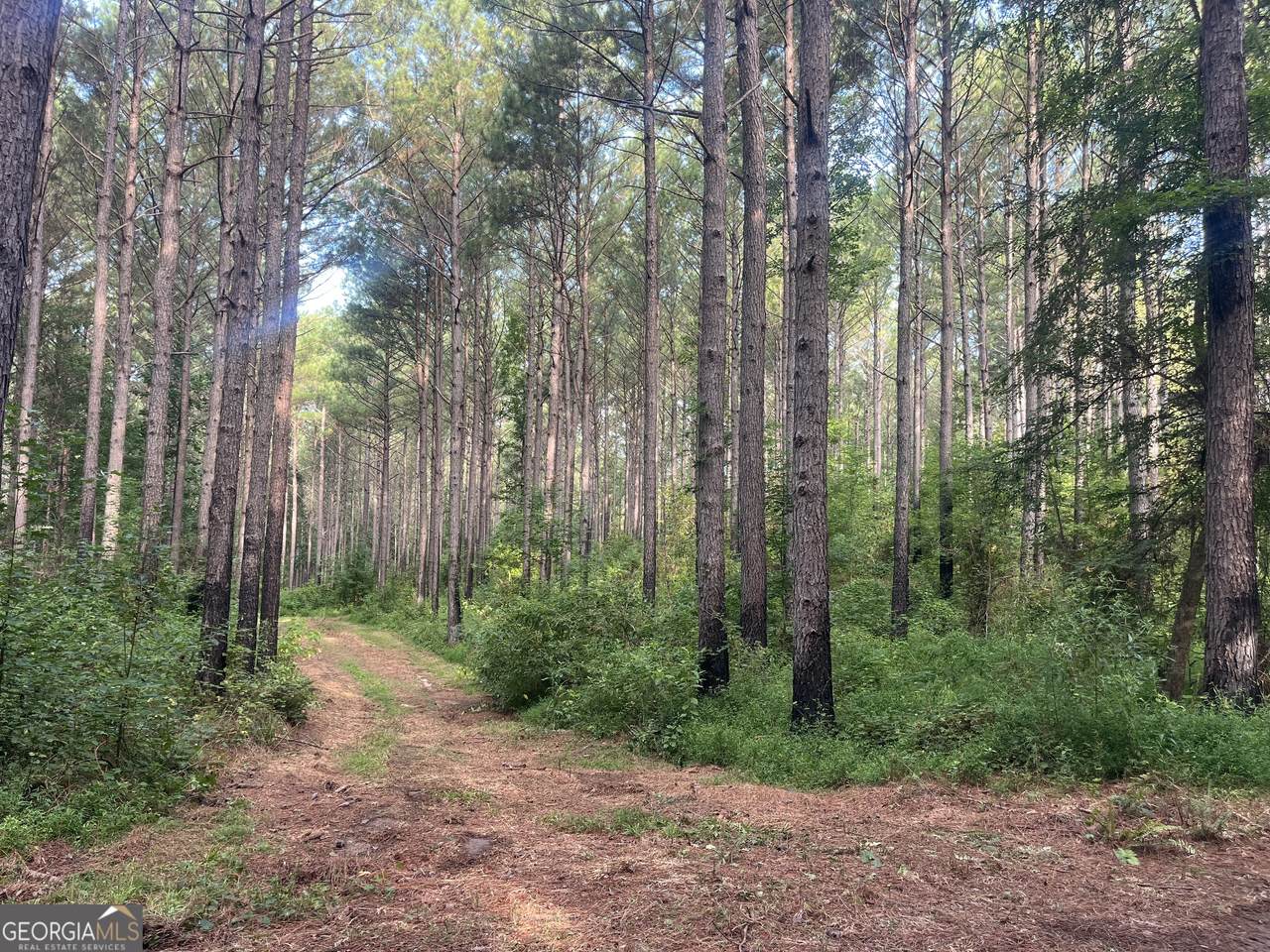 0 Alverson Road - Photo 1