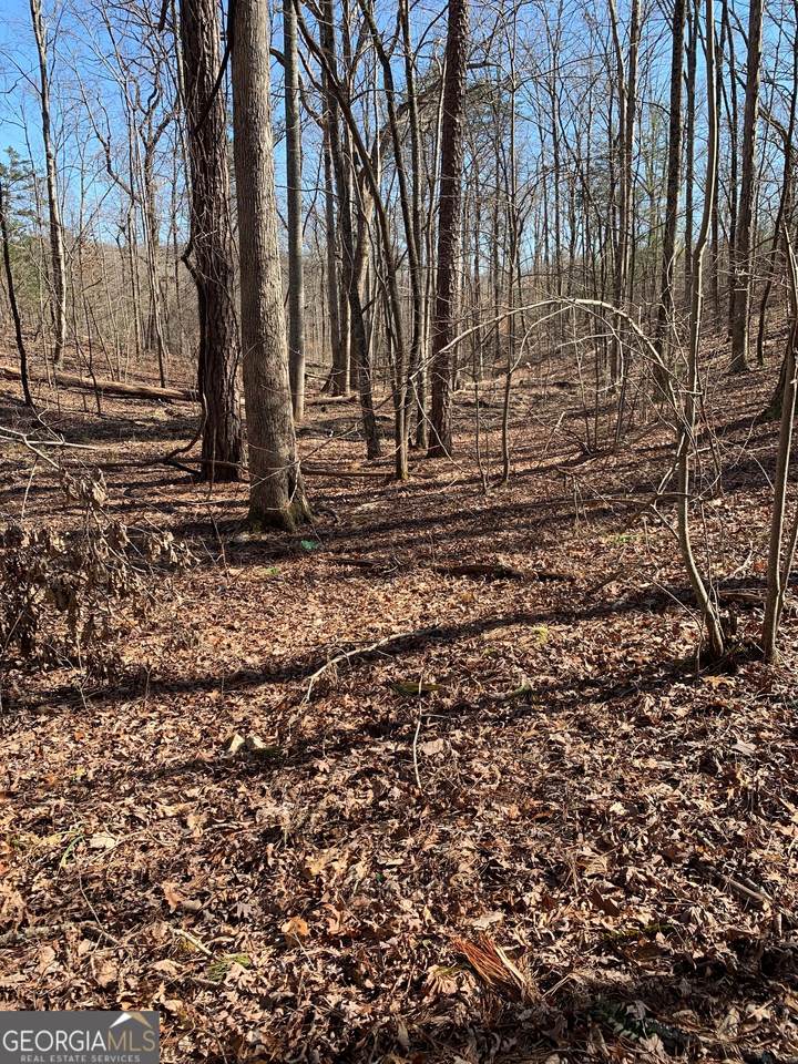 1986 Jones Mountain Road - Photo 1