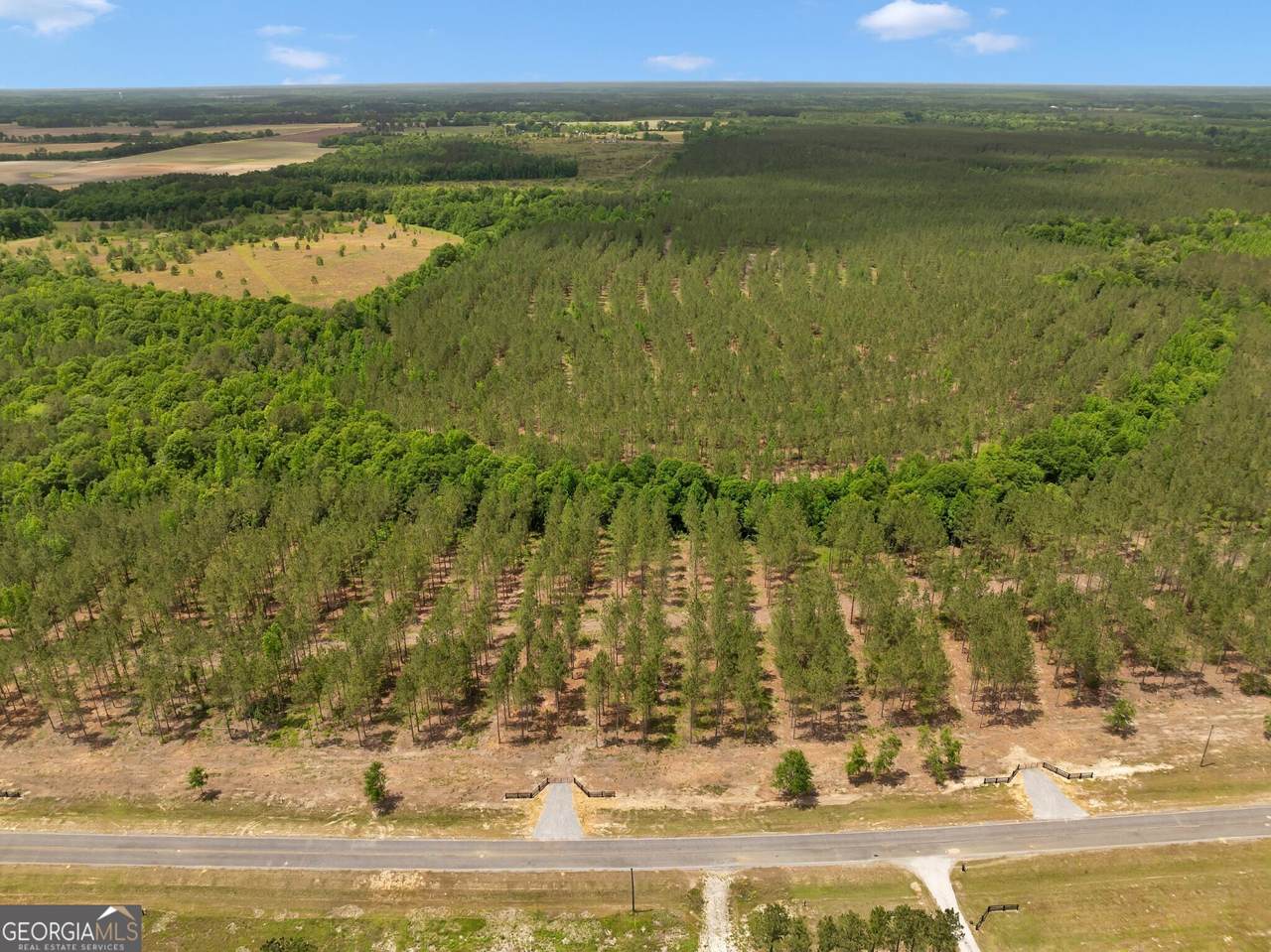 0 Dewey Thomas Road - Photo 1