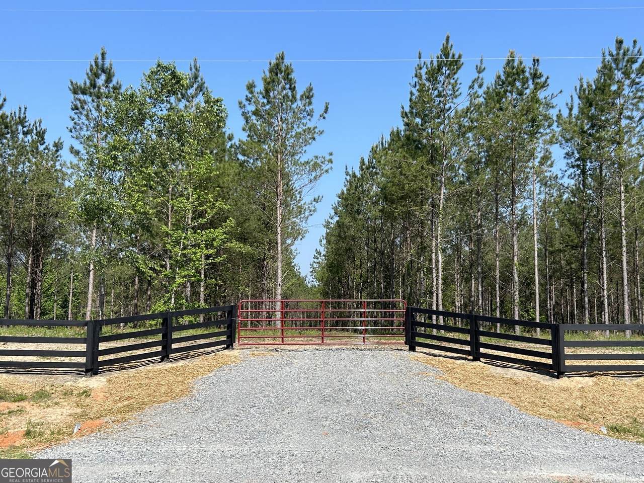 0 Dewey Thomas Road - Photo 1