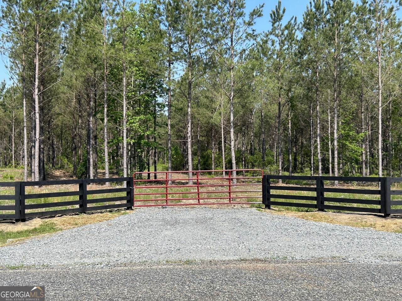 0 Dewey Thomas Road - Photo 1