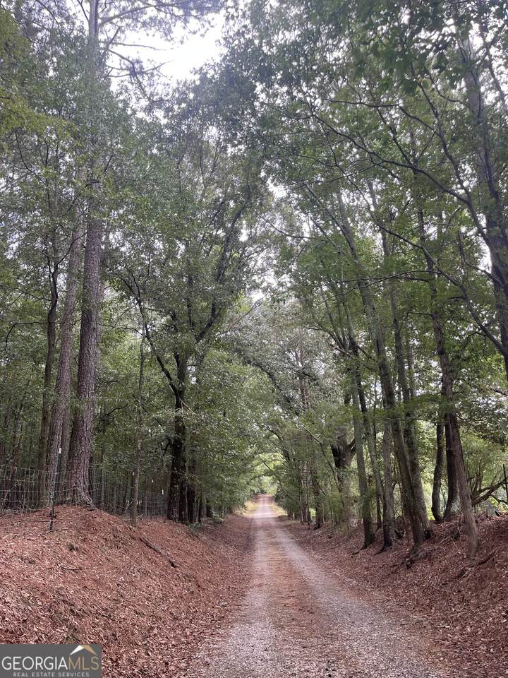 0 Bartram Trail - Photo 1