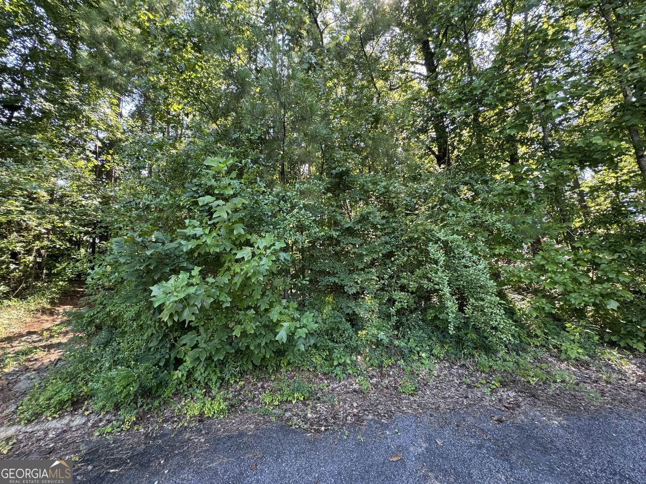 202 Cambridge Way - Photo 1