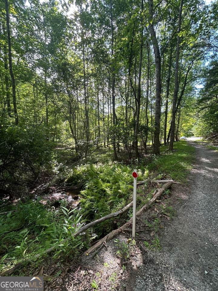 0 E Two Pond Lane - Photo 1