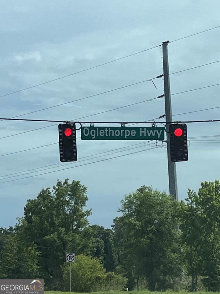 0 Oglethorpe East Highway - Photo 1
