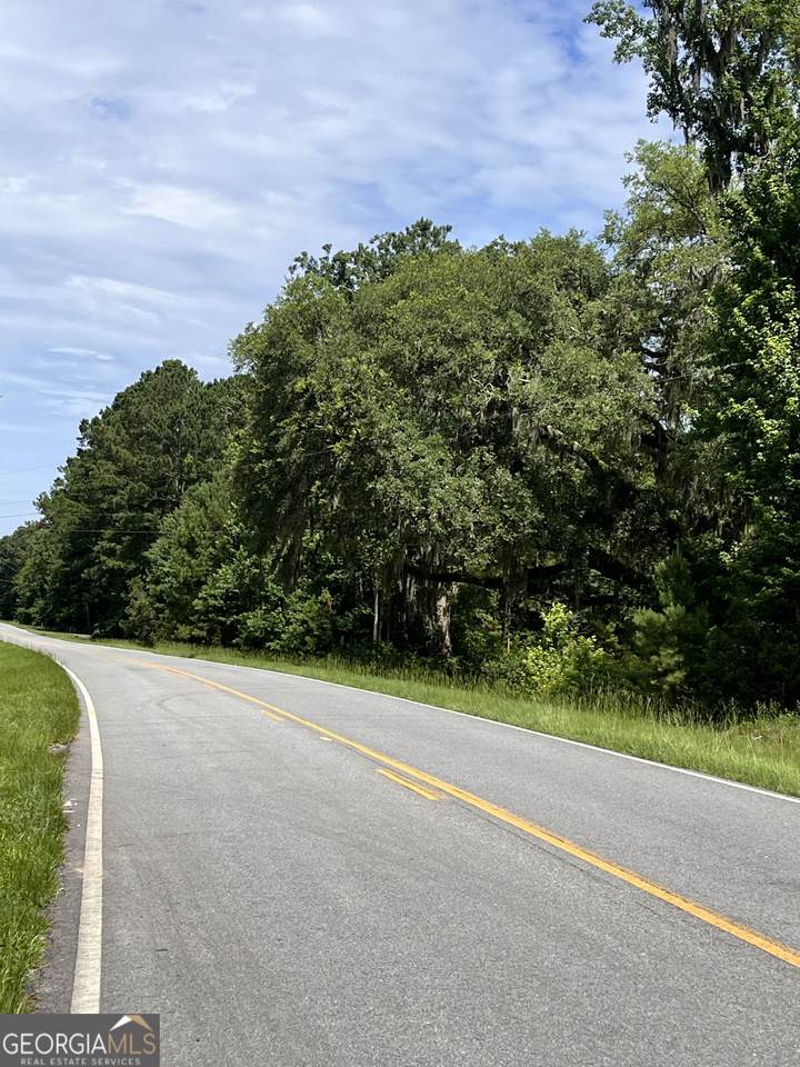 0 Sandy Run Road - Photo 1