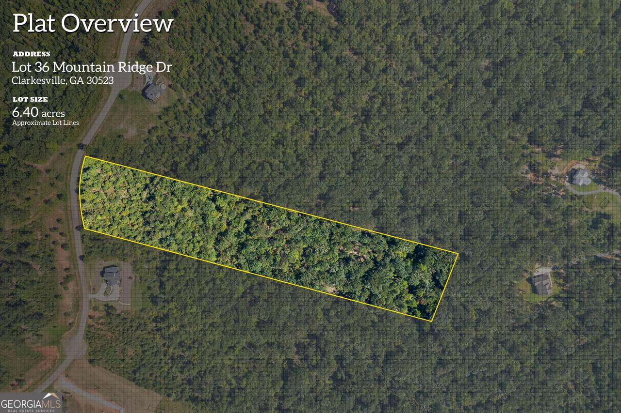 LOT 36 Mountain Ridge Drive - Photo 1