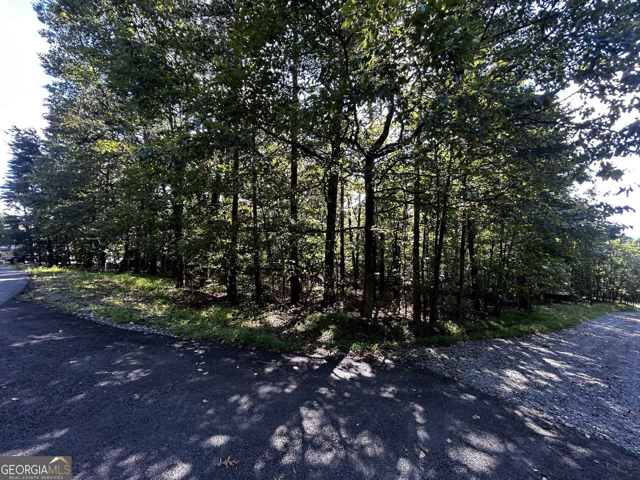 0 Elk Court - Photo 1