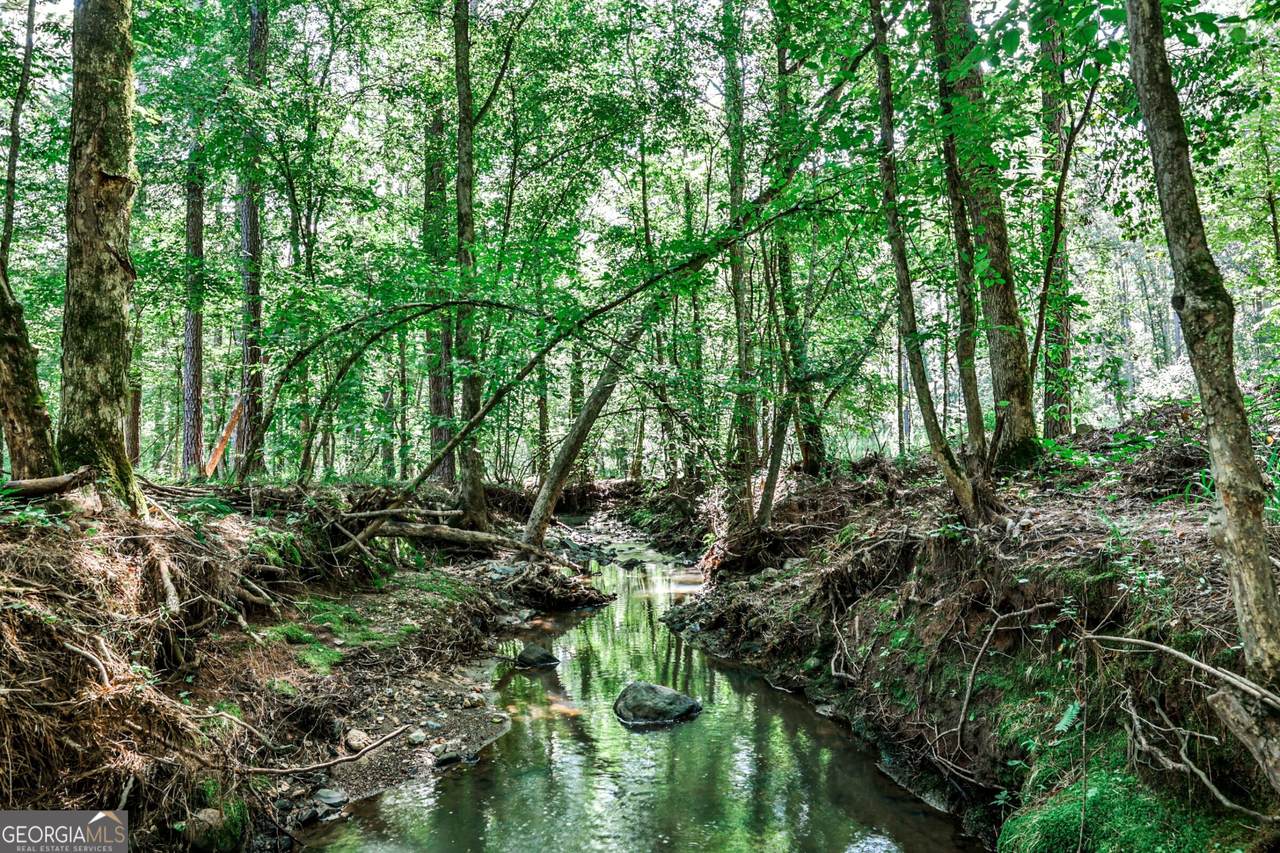 0 Felton Mcmichael Road - Photo 1