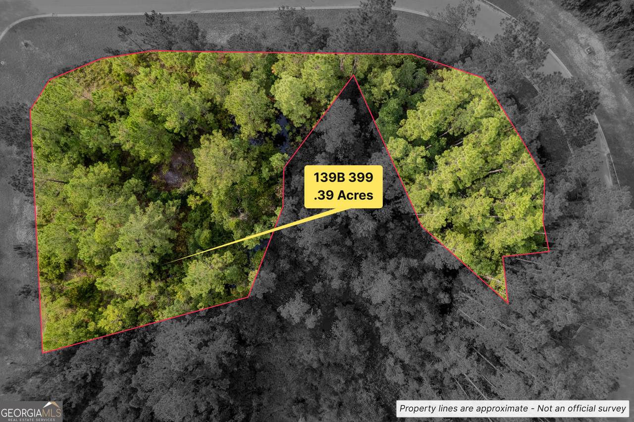 LOT 399 Whales Brook Way - Photo 1