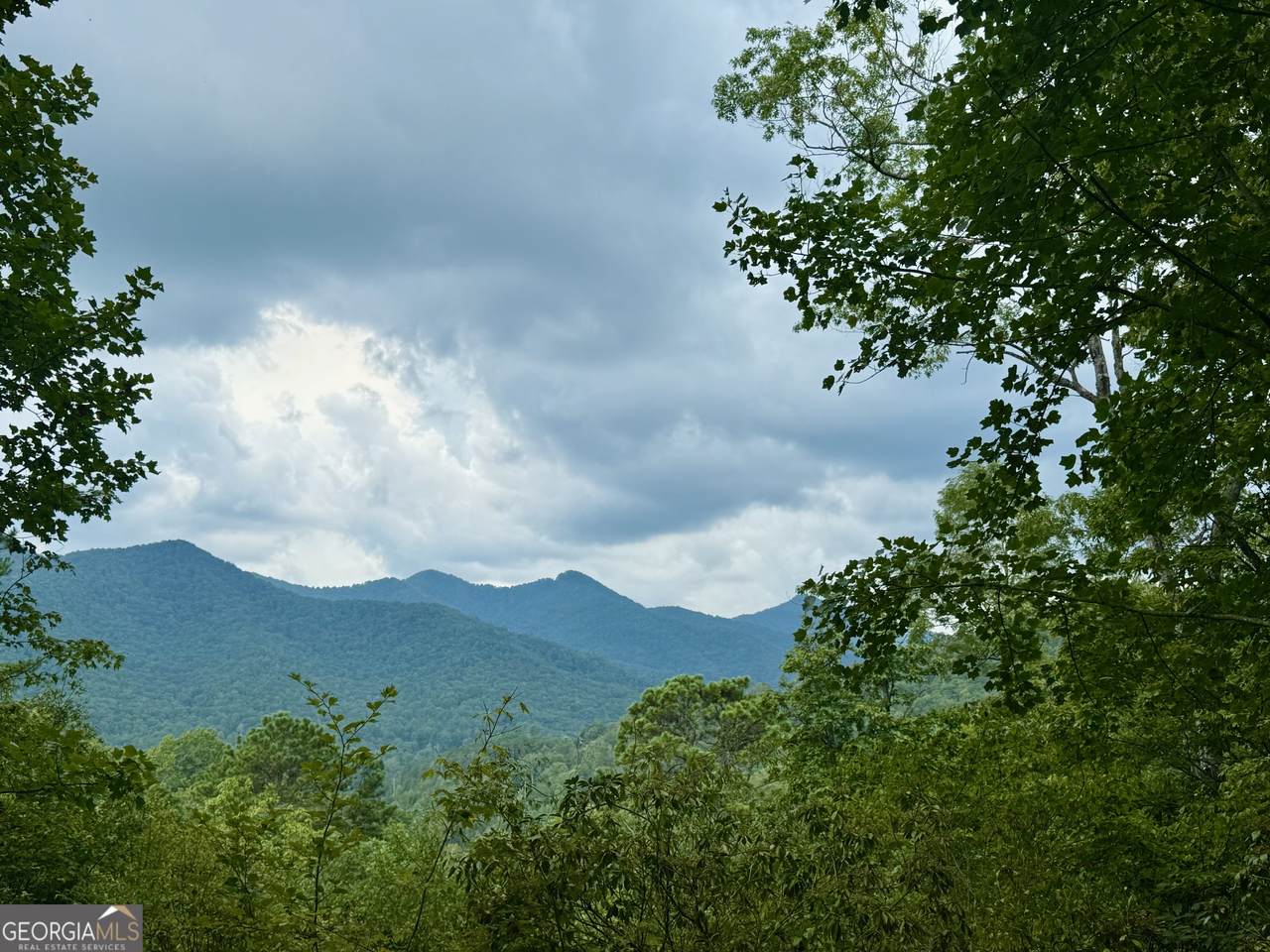 LOT 6 Raven Fork Trail - Photo 1