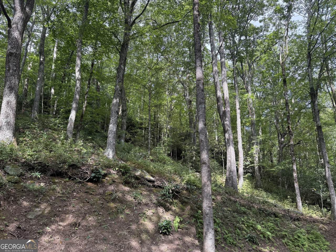https://bt-photos.global.ssl.fastly.net/gamls/1280_boomver_1_10595313-2.jpg
